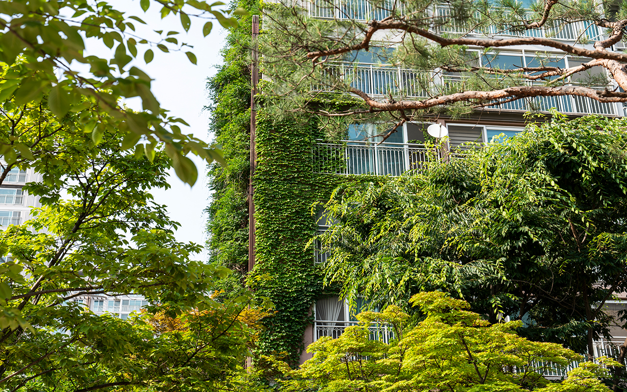 자이매거진-비욘드아파트먼트-수지자이-나무와 덩굴이 있는 아름다운 조경이 돋보이는 아파트 외관