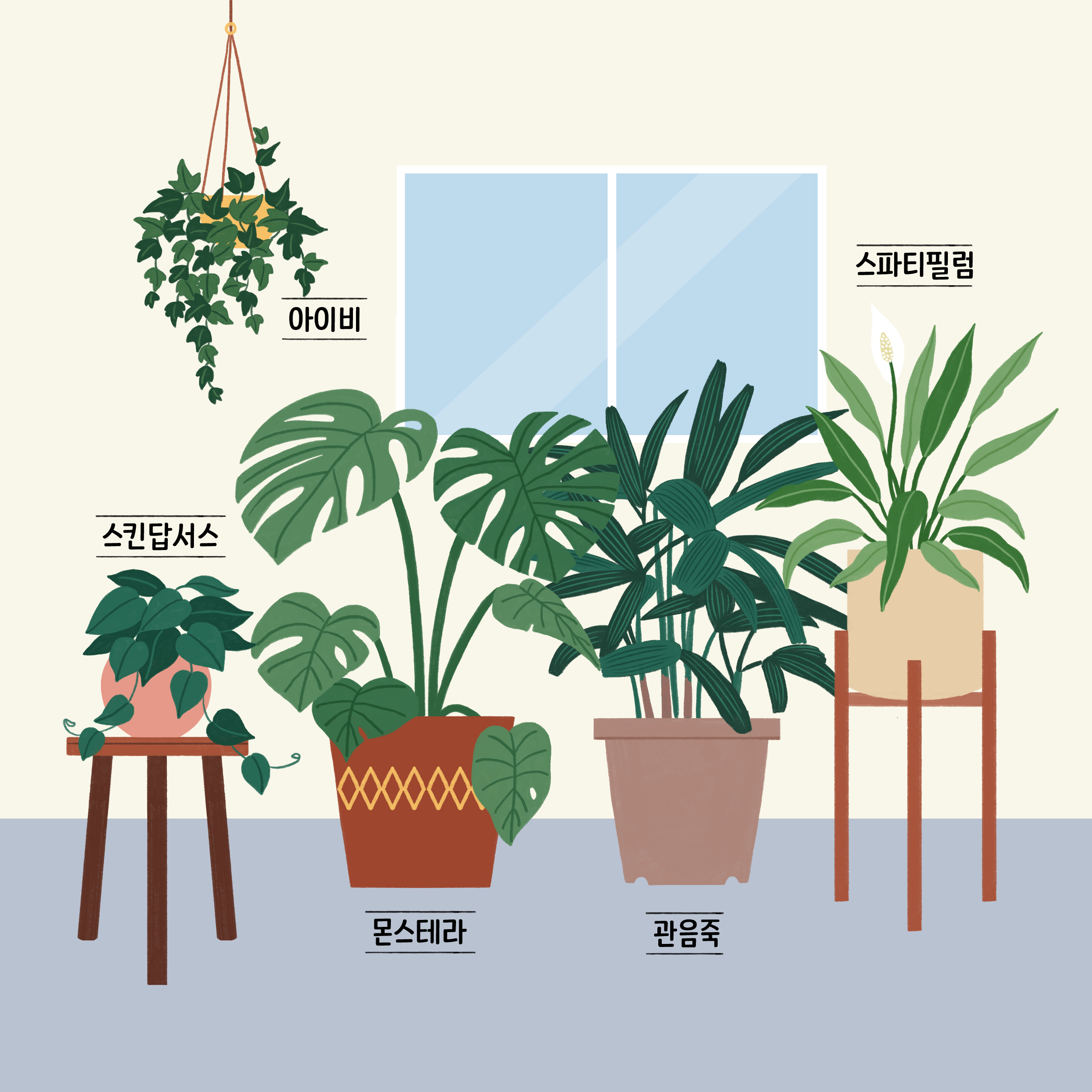 자이매거진-비욘드아파트먼트-플랜테리어-공기정화 식물들의 그림, 아이비, 스킨답서스, 몬스테라, 관음죽, 스파티필럼